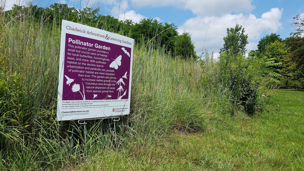 Pollinator garden with native plants and an educational sign