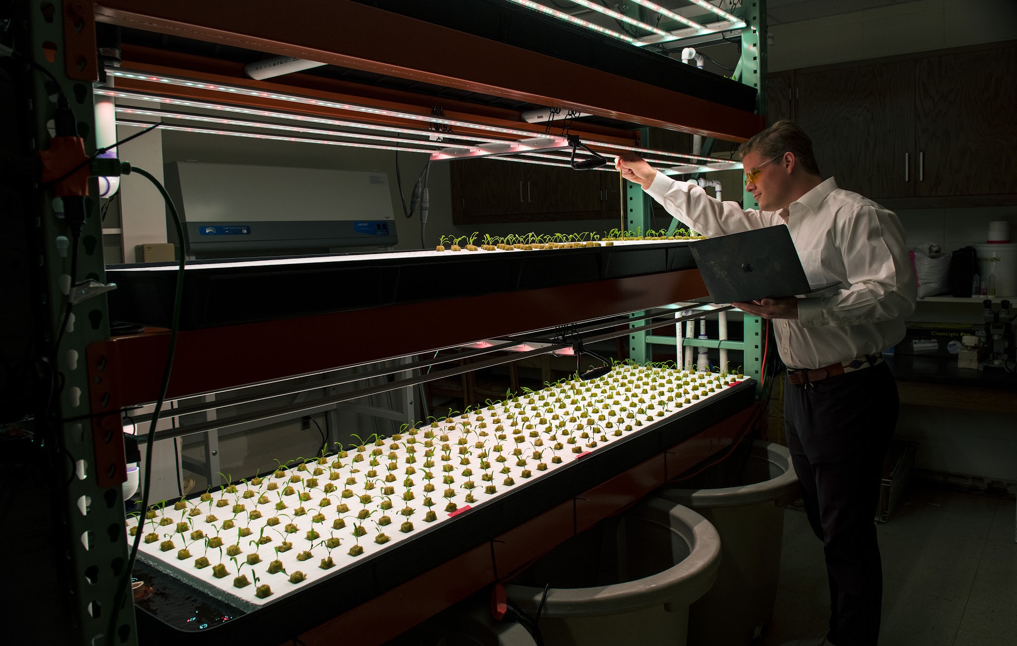 Researcher checking spinach seedlings in a vertical farming system, pictured in the food-safety course